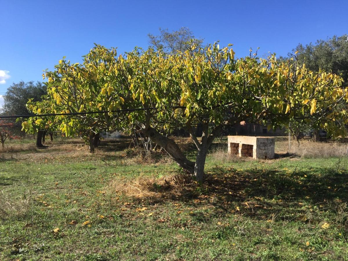 Masseria Elefante Turi Exteriör bild