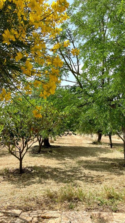 Masseria Elefante Turi Exteriör bild