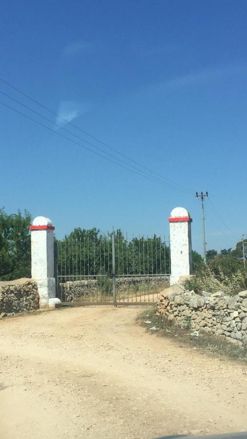 Masseria Elefante Turi Exteriör bild