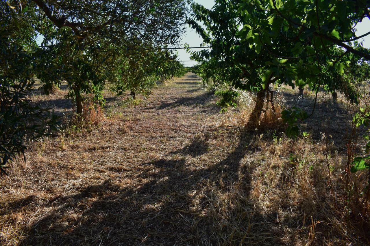 Masseria Elefante Turi Exteriör bild